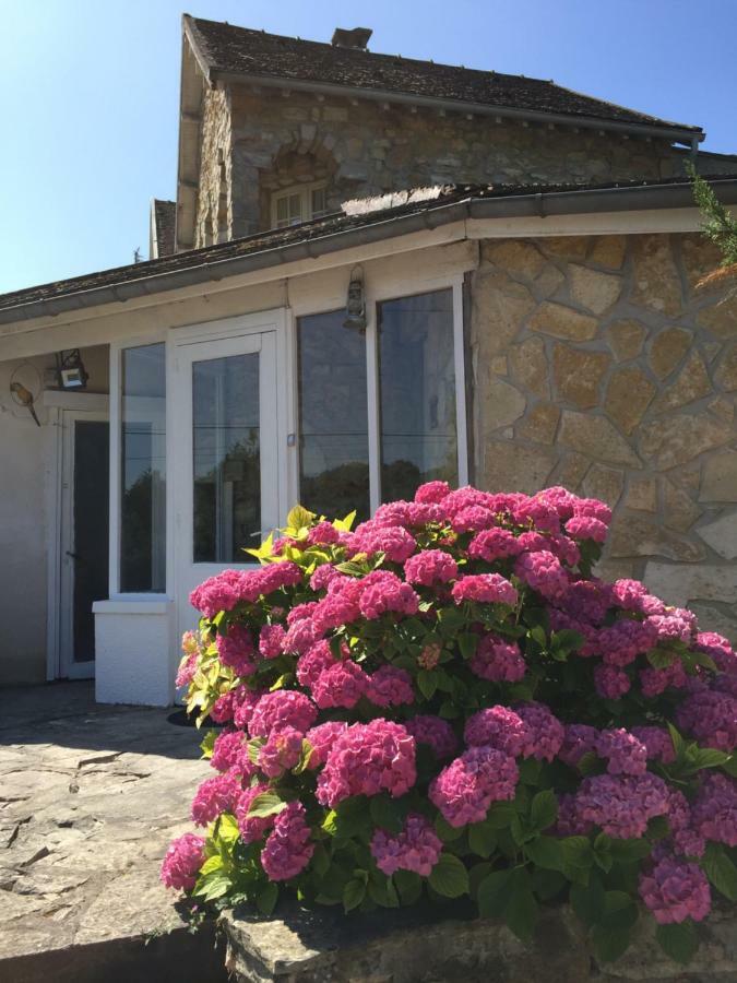 Maison en bord de seine Boissise-le-Roi Buitenkant foto